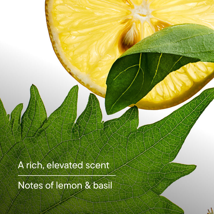 Close-up of a sliced lemon with Shiso leaves with text, "A rich, elevated scent. Notes of lemon & basil."