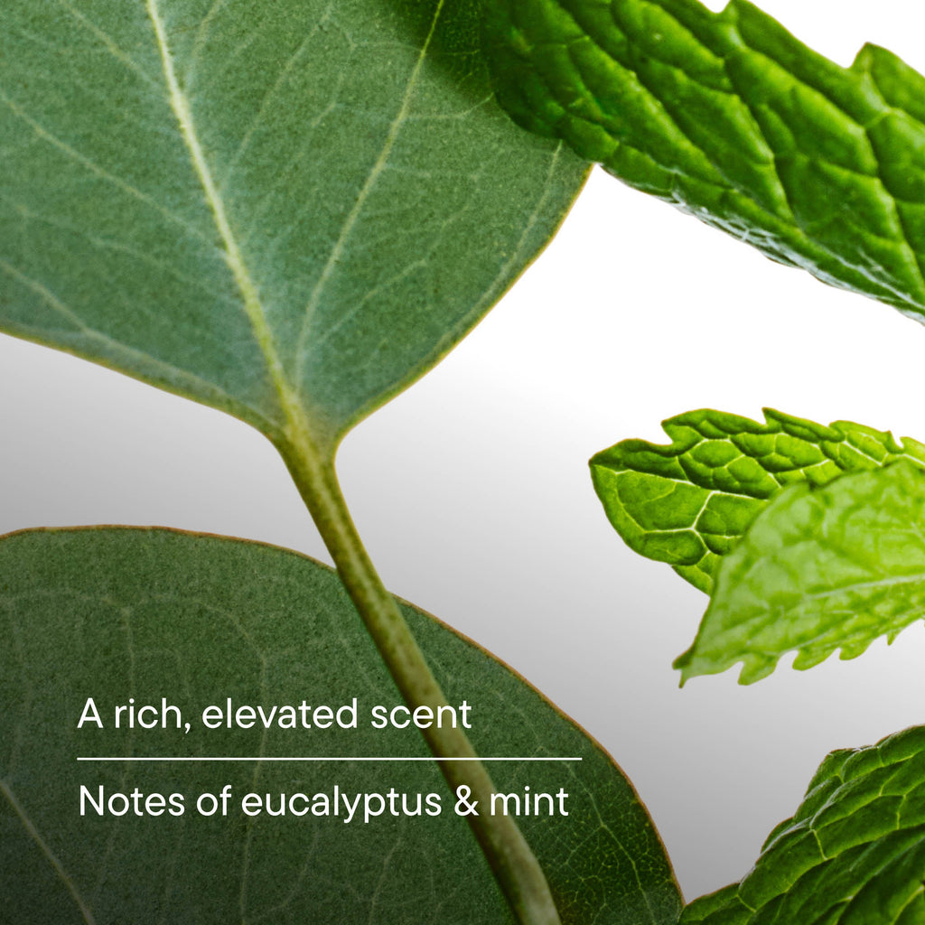 Close-up of green leaves with text about eucalyptus and mint.