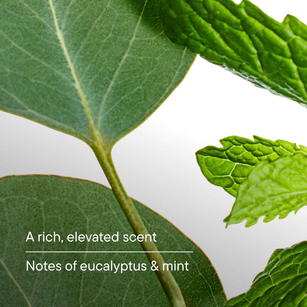 Close-up of green leaves with text about eucalyptus and mint.